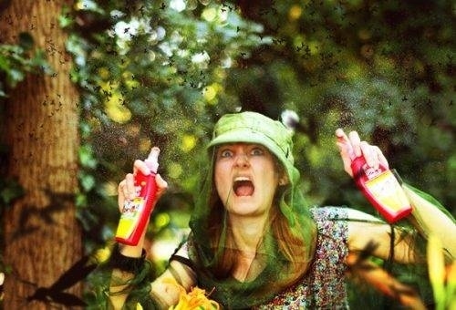 2751f167e42d894eab7d66003895550fd5bd4d20