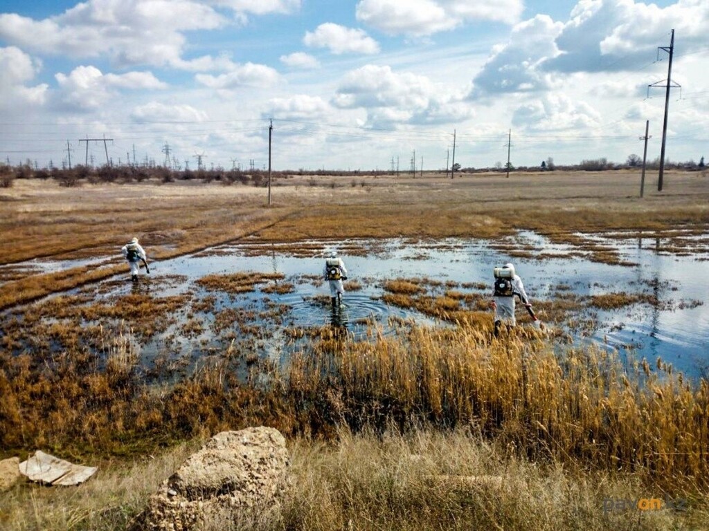 99e635388a016070a21213ee1b0fed92a005aa56