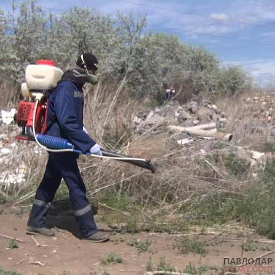 a147f2efea96a597c5423a7379b300e852d917d3