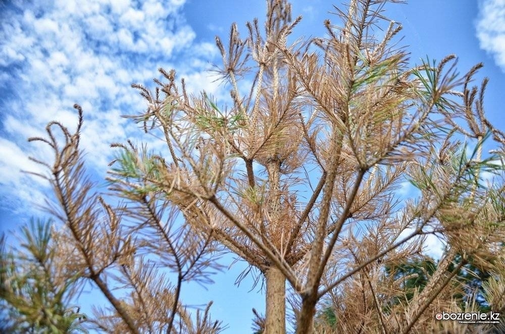 adb07ffd30ccf1994b22b2b7243950502893a136