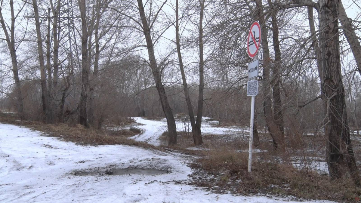 ca13de2c6b5ab9aeadb7f9152d860cf806829734